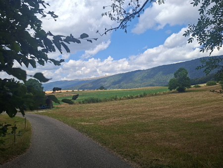 Etzel